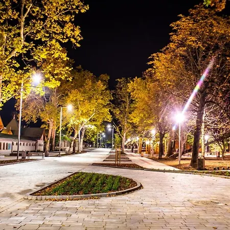 Kek Zafir Studio Apartman *